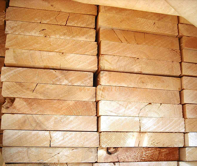 罗源智利辐射松方木